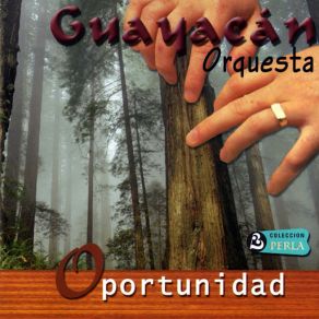 Oportunidad album cover