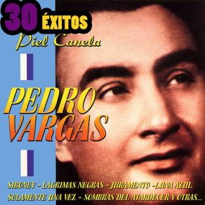 Piel Canela album cover