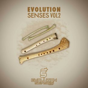 Evolution Senses Vol. 2 album cover
