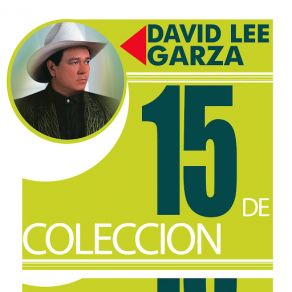 15 De Coleccion album cover