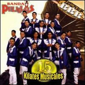 15 Kilates Musicales album cover