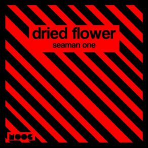 Seaman One (Single) album cover
