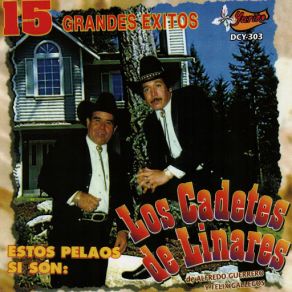 15 Grandes Exitos album cover