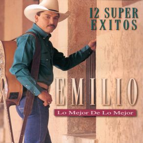 Los Mejor De Los Mejor-12 Super Exitos album cover