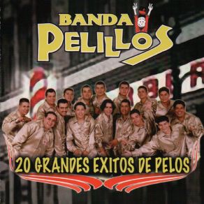 20 Grandes Exitos De Pelos album cover