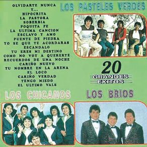 Temas Inolvidables album cover