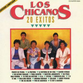20 Éxitos album cover