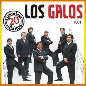 20 Grandes Exitos - Vol. 4 album cover