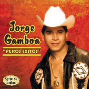 Puros Exitos album cover