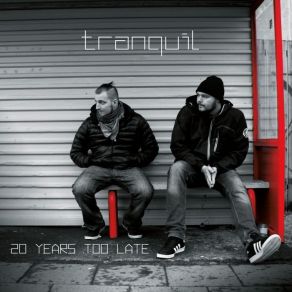 20 Years Too Late album cover