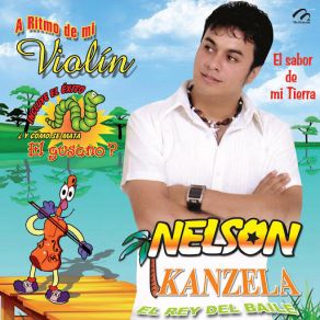 A Ritmo De Mi Violín album cover