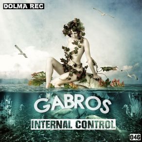 Internal Control album cover