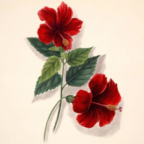 The Christmas album cover