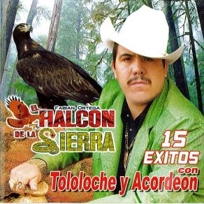 15 Exitos Con Tololoche Y Acordeon album cover