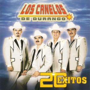 20 Exitos album cover