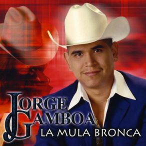 La Mula Bronca album cover