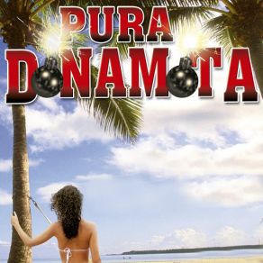 Pura Dinamita album cover