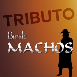 Tributo A Banda Machos album cover