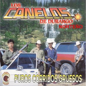 Puros Corridos Gruesos album cover