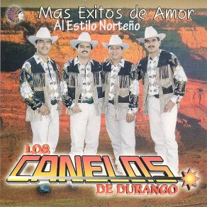 Mas Exitos De Amor album cover