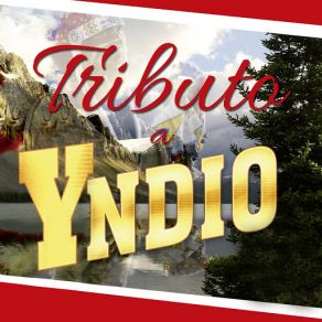 Tributo A Yndio album cover