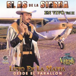 En Vivo Vol II album cover