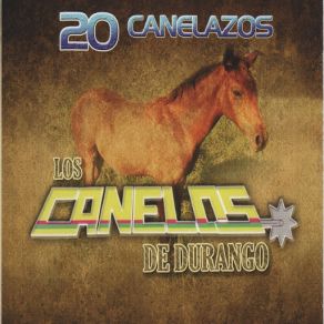 20 Canelazos album cover