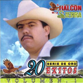 20 Exitos Vol. 1 album cover