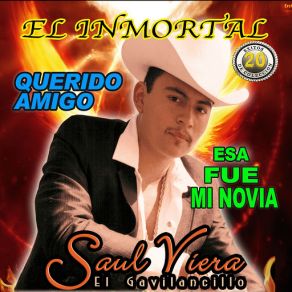 20 Exitos Del Gavilancillo album cover