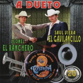A Dueto 20 Exitos De Coleccion album cover