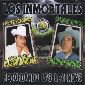 Los Inmortales 20 Exitos De Colecion album cover