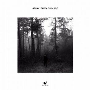 Dark Side album cover