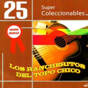 25 Super Coleccionables (Versiones Originales) album cover