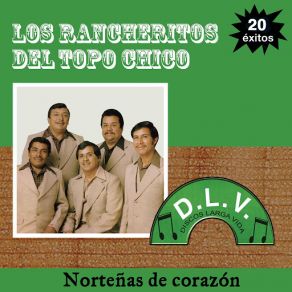 Norteñas De Corazón 20 Exitos album cover