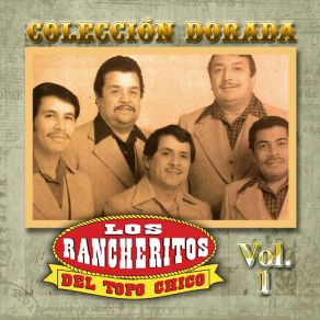 Coleccion Dorada album cover