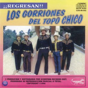 ¡¡Regresan!! album cover