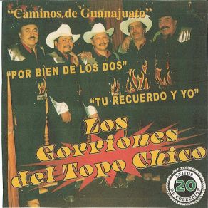 20 Exitos De Coleccion album cover