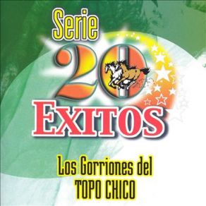 Serie 20 Exitos album cover