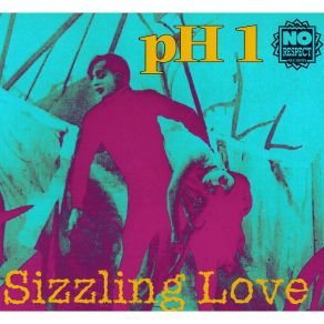 Sizzling Love album cover