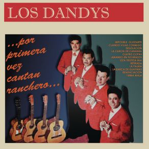Por Primera Vez Cantan Ranchero... Los Dandys album cover