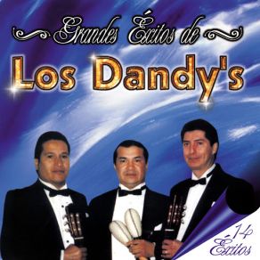 Grandes Éxitos De Los Dandy's - 14 Éxitos album cover
