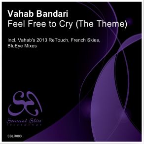 Feel Free To Cry (The Theme) album cover