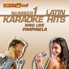 Drew's Famous # 1 Latin Karaoke Hits: Sing Like Pimpinela album cover
