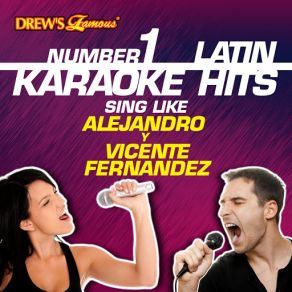 Drew's Famous # 1 Latin Karaoke Hits: Sing Like Alejandro Y Vicente Fernandez album cover
