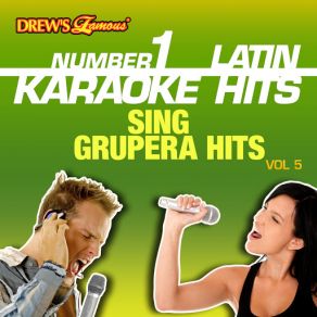 Drew's Famous # 1 Latin Karaoke Hits: Sing Grupera Hits Vol. 5 album cover