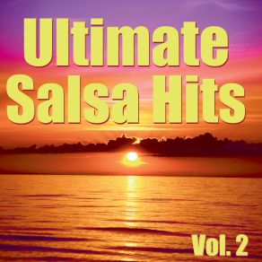 Drew's Famous # 1 Latin Karaoke Hits: Sing Salsa Hits Vol. 2 album cover