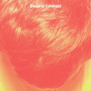 Banjo Or Freakout album cover