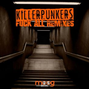 Fuck All Remixes album cover