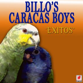 Exitos De Billo's Caracas Boys album cover