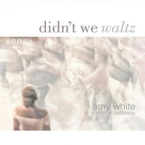 Didn't We Waltz album cover